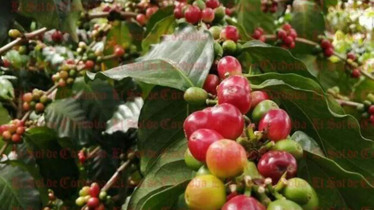 12b1e539-8634-4b31-b343-b96469c7d784