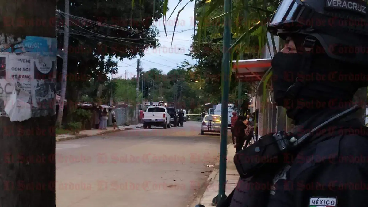 2dcce5e8-85aa-4045-8633-8031b31b7d7a