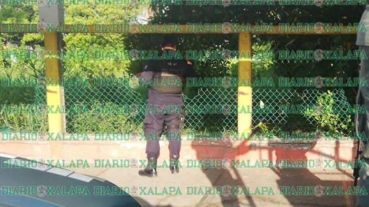 c956b41f-3d8e-40df-b9a3-a632b2df47d4