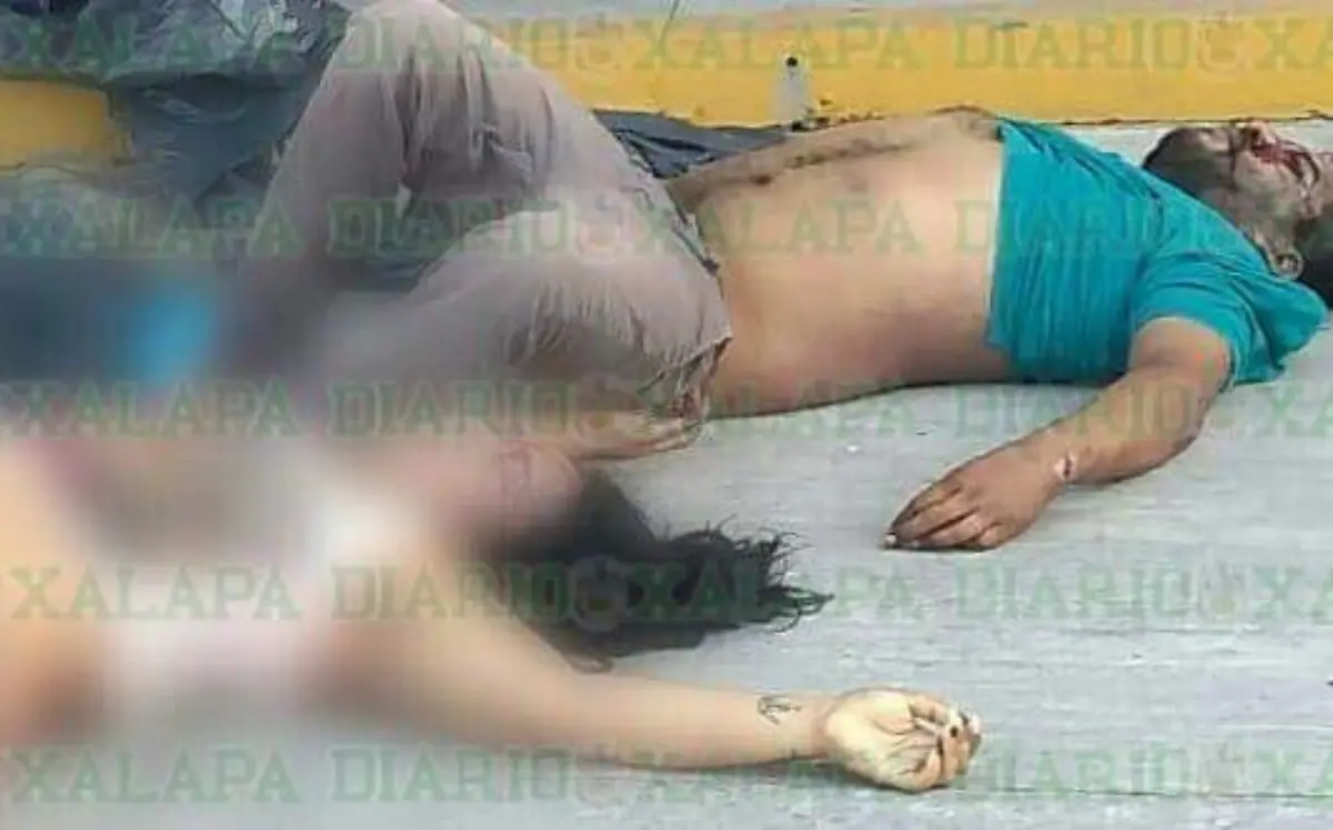 5872248e-af3e-423f-aad1-d7d6403cb06b