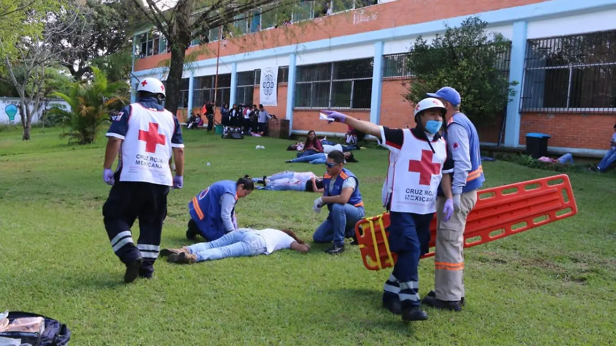 simulacro