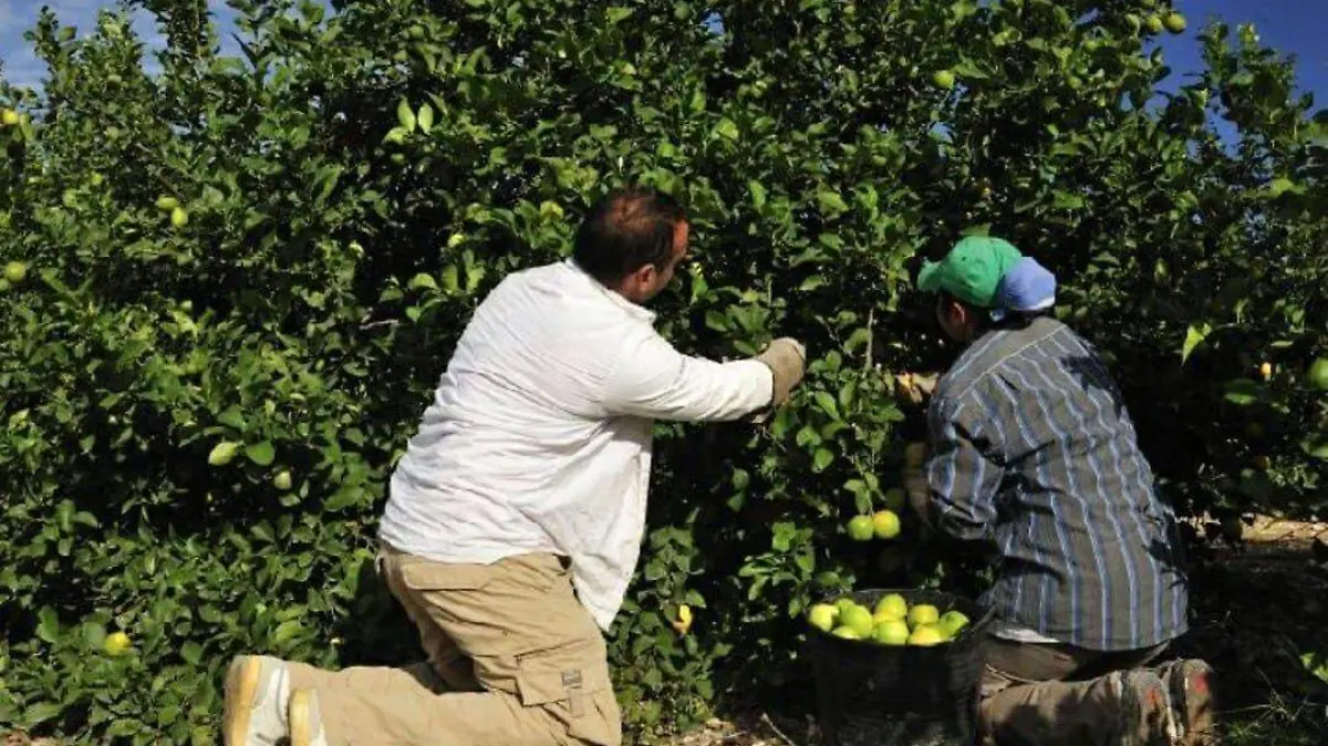 e3014170-fb0a-4d6b-80ba-87582cb935ed