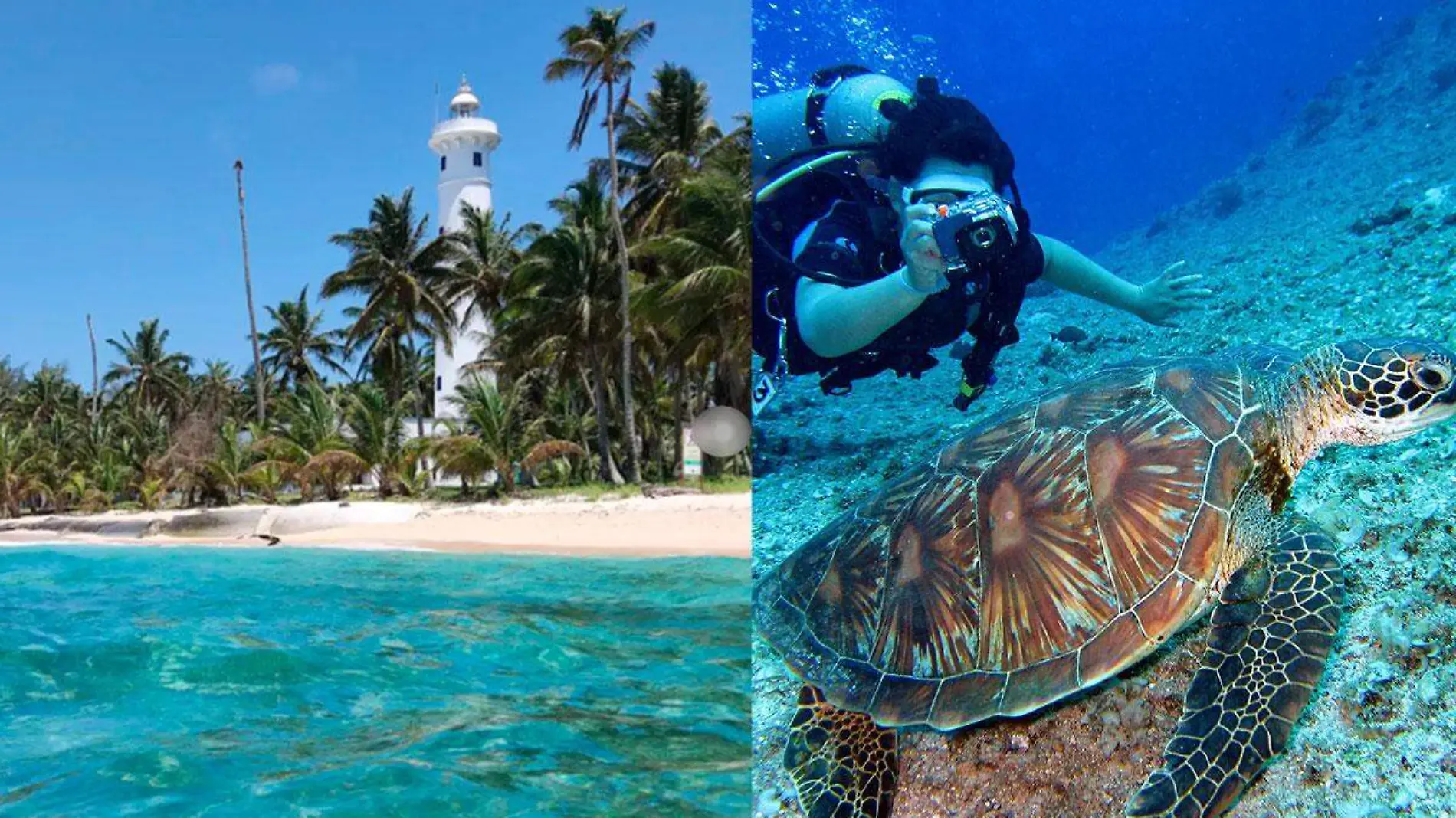 Isla-de-los-Lobos-en-Tamiahua-Veracruz