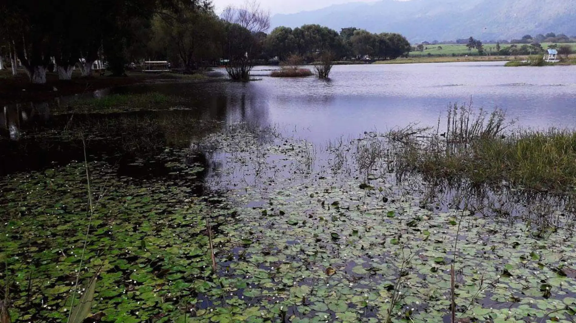 Laguna-El-Porvenir-de-Cordoba-Veracruz