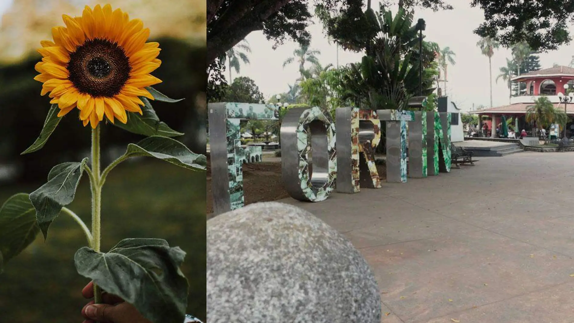 Parque-de-floricultura-de-Fortin-de-las-Flores