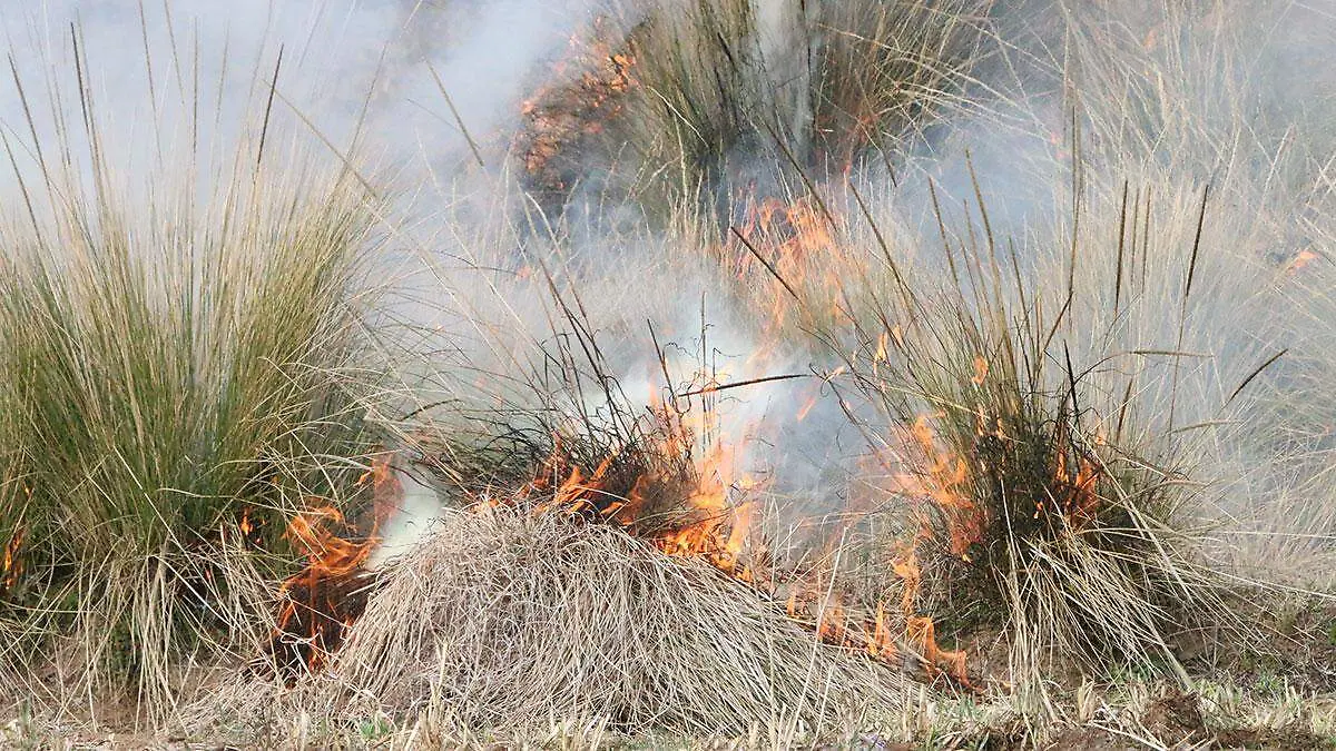 Incendios-de-pastizales-durante-2025