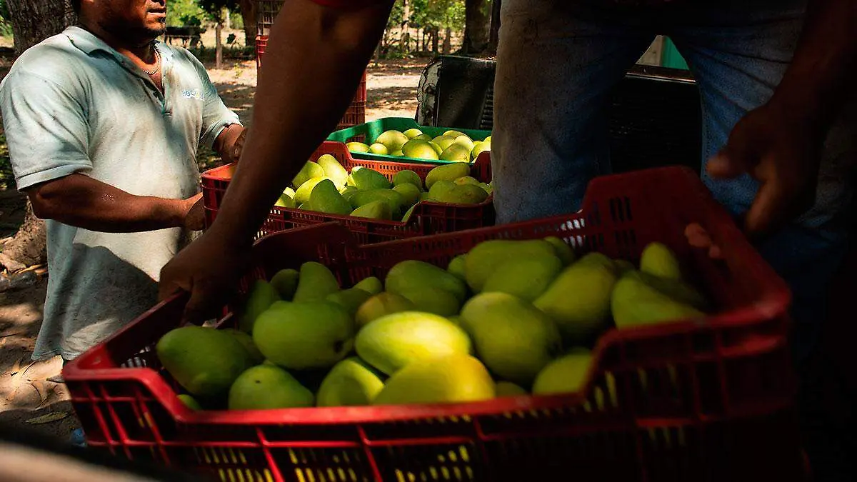 Productos-hechos-en-México-con-denominación-de-origen-4