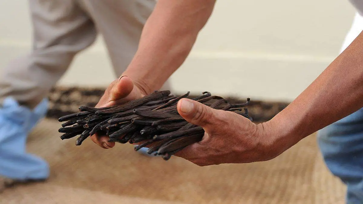 Productos-hechos-en-México-con-denominación-de-origen-5