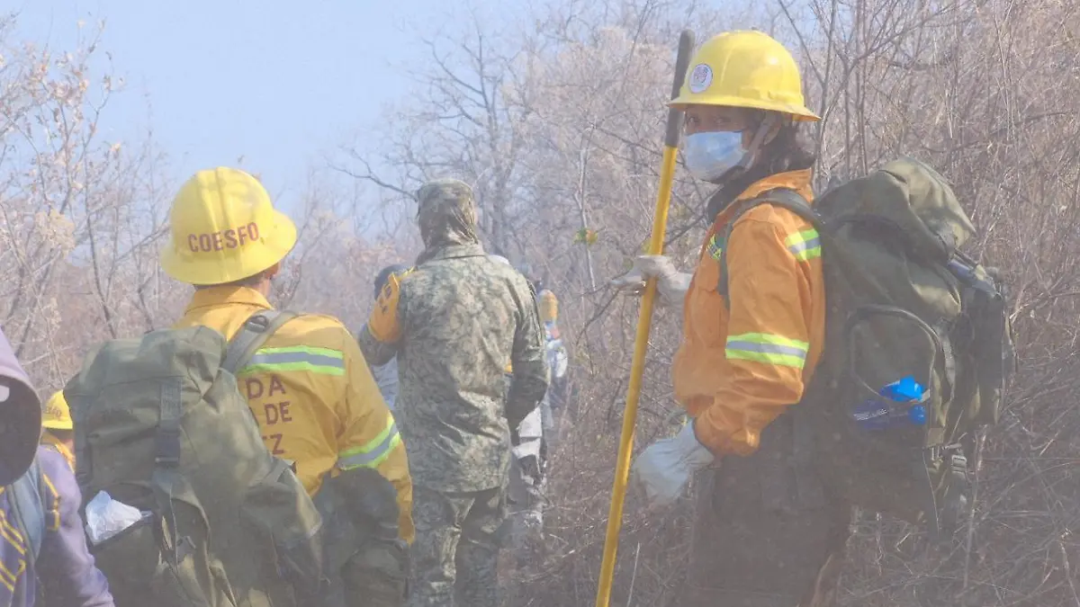 incendio forestal Oaxaca