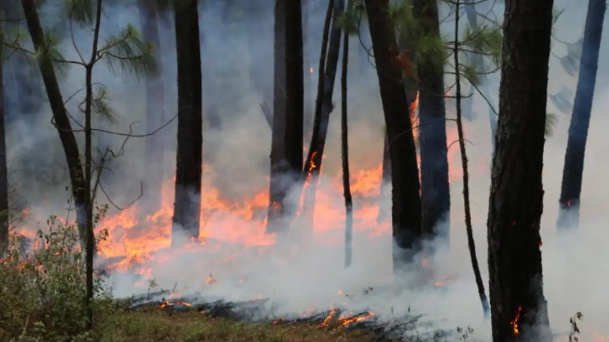 incendios