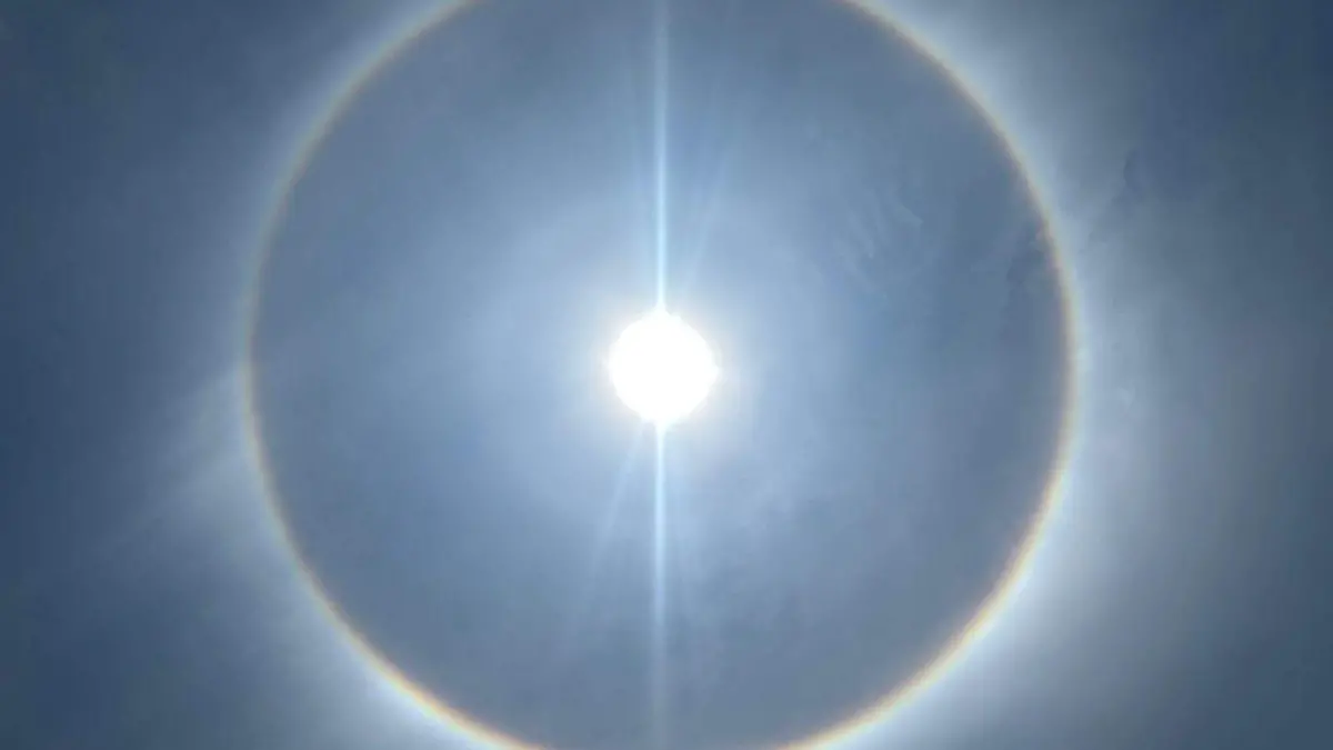 1000432236