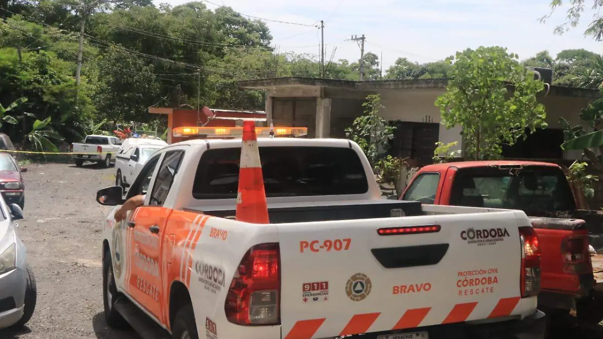 4dd99bcf-c54a-4c6d-9e91-d26ce8e05e69