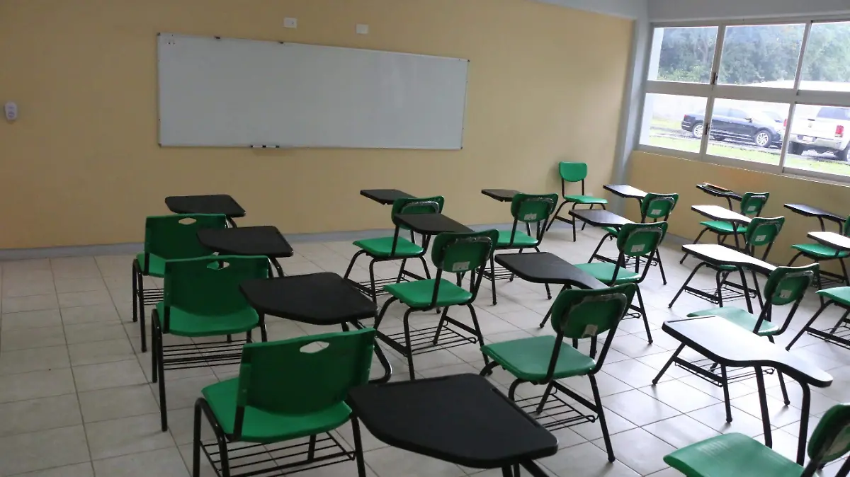 david- Escuela 2 (1)