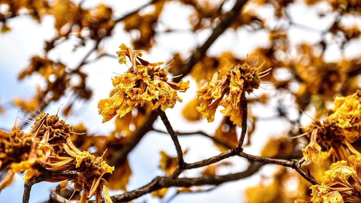 Equinoccio-de-otoño-3