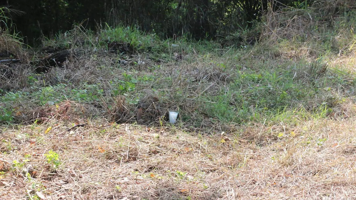 IMG-20250925-WA0039