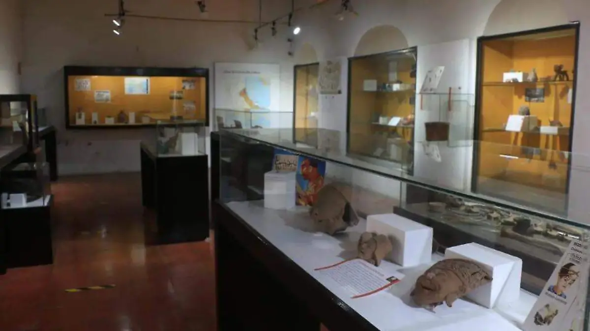 Museo de Córdoba, Veracruz