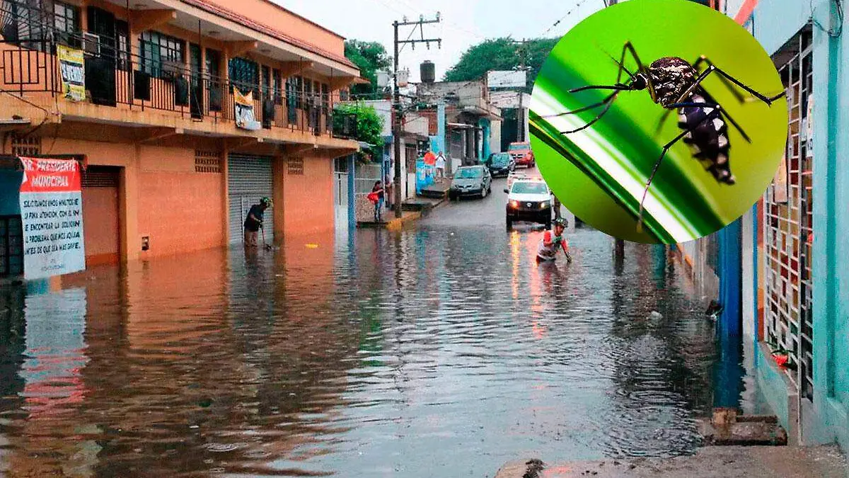 Dengue