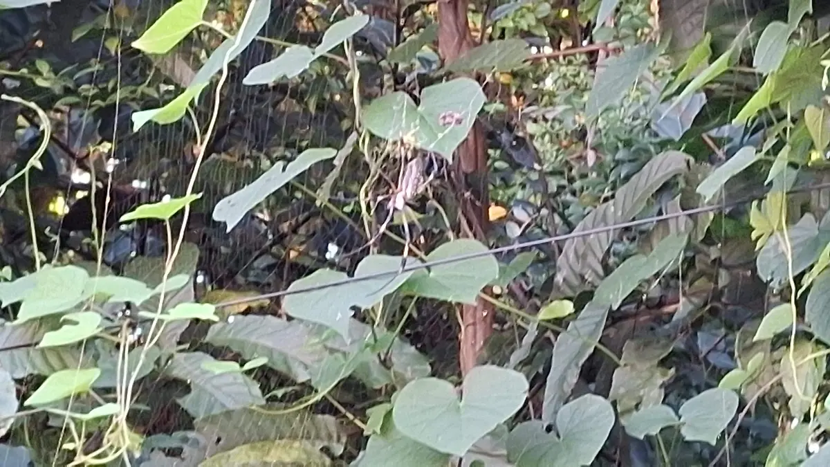 1000874746