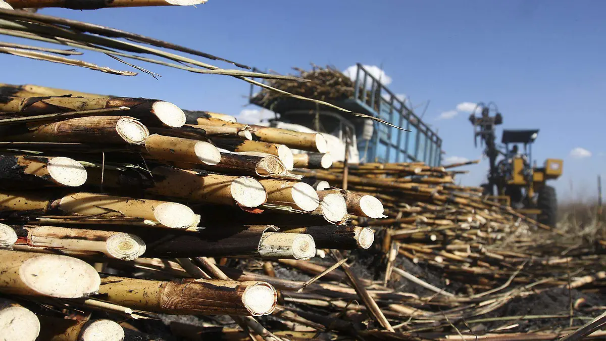 392237_Industria Azucarera Cañera_web