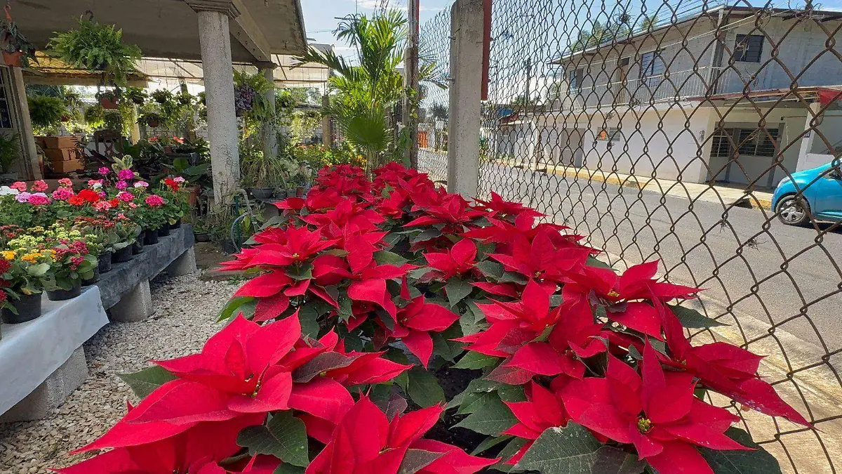 31245c6e-aec3-497b-a13c-e9e49d5e6a75