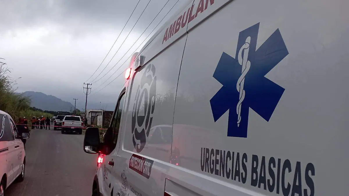 80c7b17f-3703-409c-92b2-36b268b9bef3