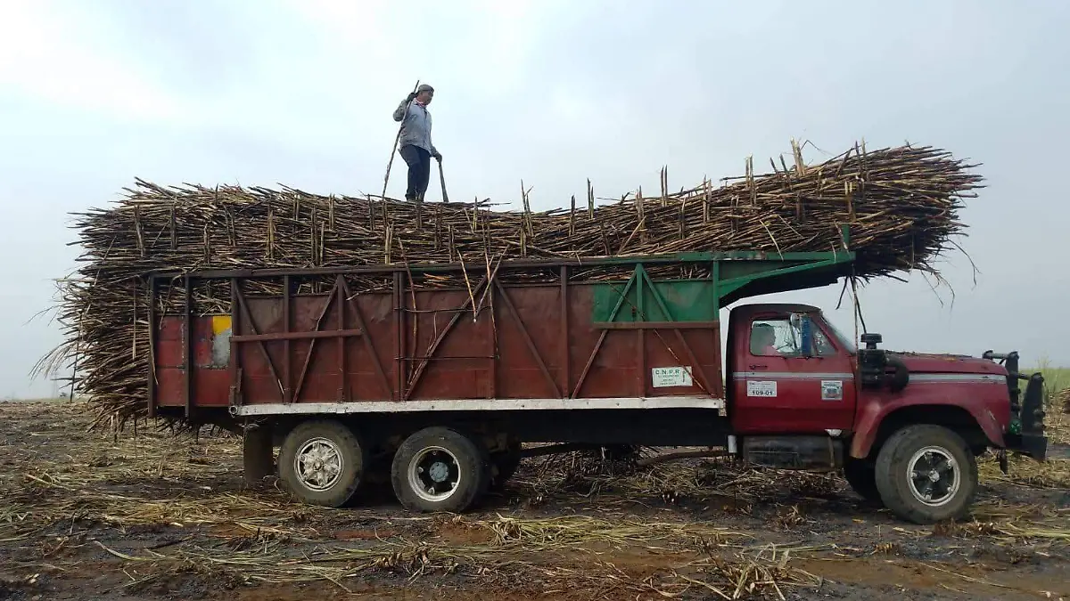 Ingenios veracruzanos arrancan la zafra 2025-2026 generarán más de 25 mil empleos directos dice líder cañero