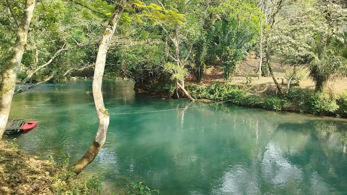 491353226_1247931820188445_7263803494567720864_n