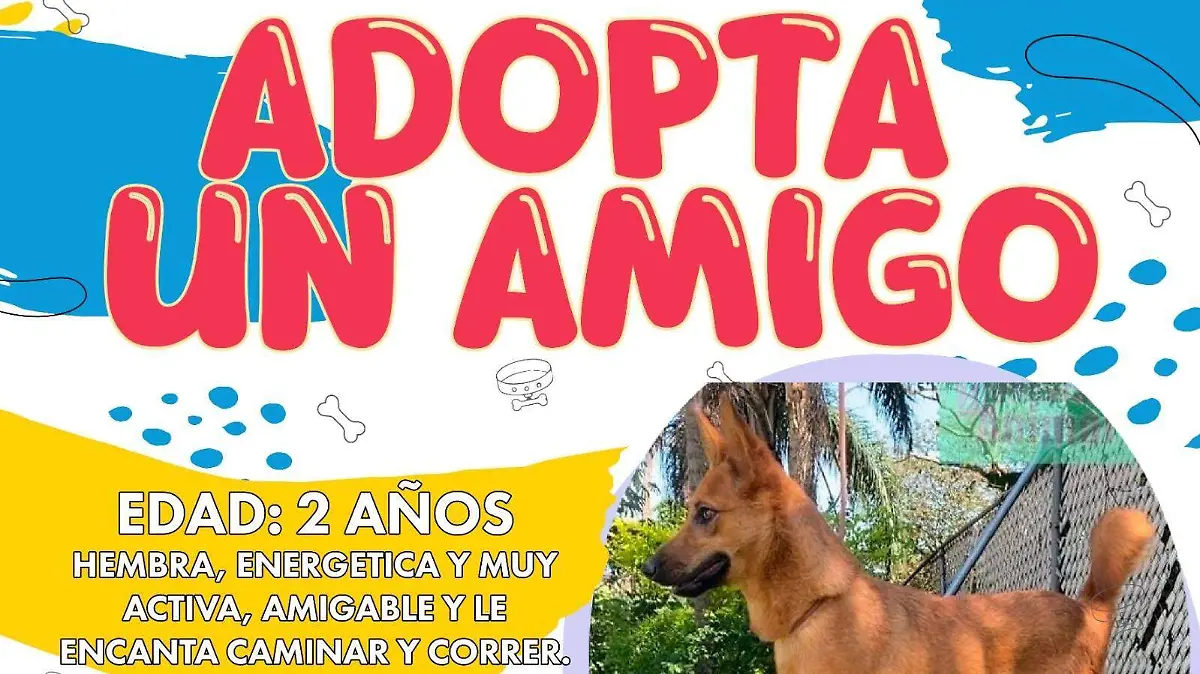 598359628_893996593157500_8853384551595215733_n