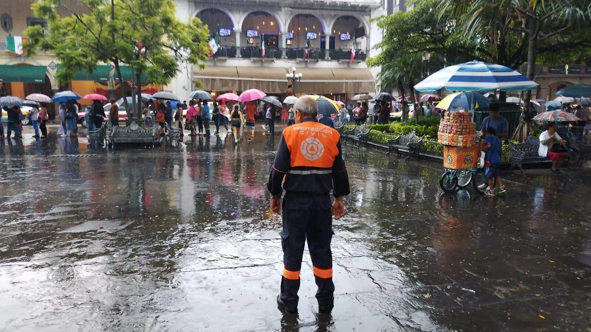 WhatsApp-Image-2024-12-04-at-1.16.43-PM