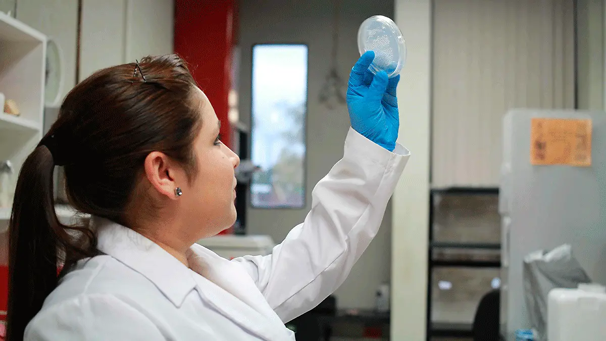 Investigadores-Veracruz