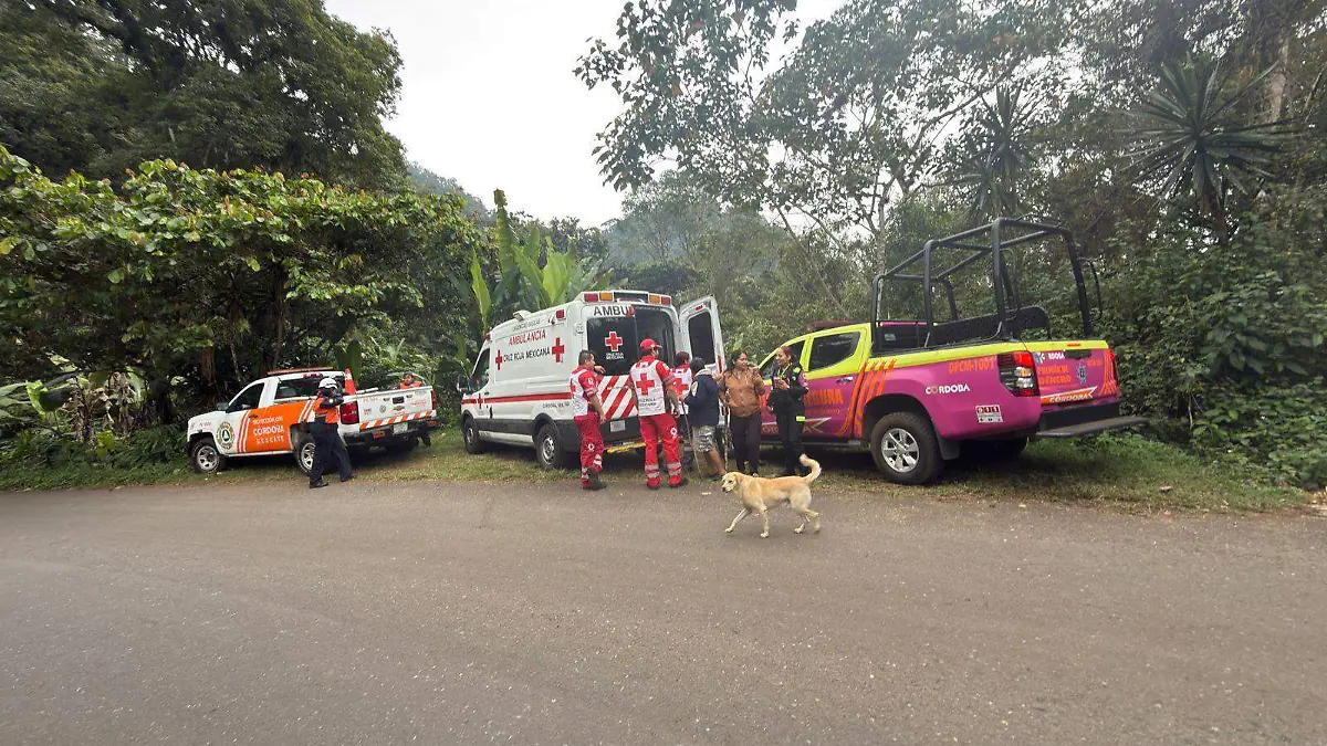 82be2f44-596f-4c22-a323-9b5a07c8809b