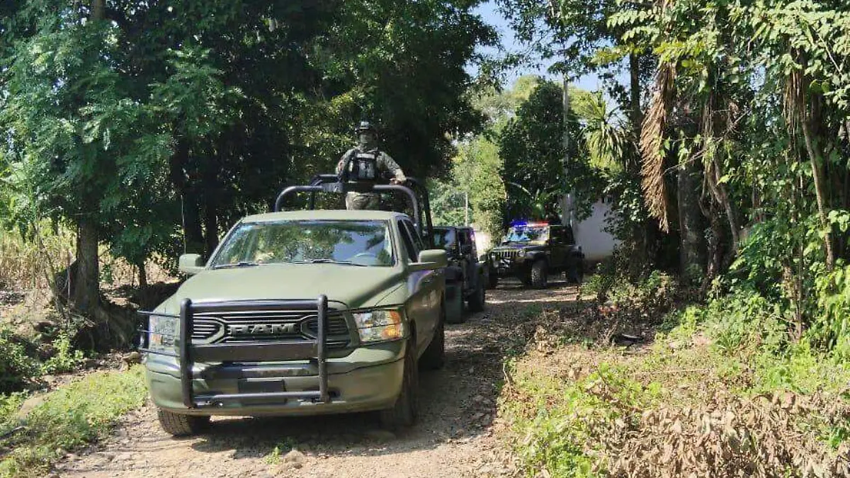 d07c5c8d-2b6f-4da4-b627-b5c5cbf92f96