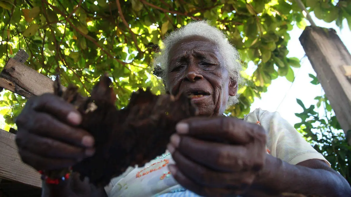 530592_Puros artesanales_web