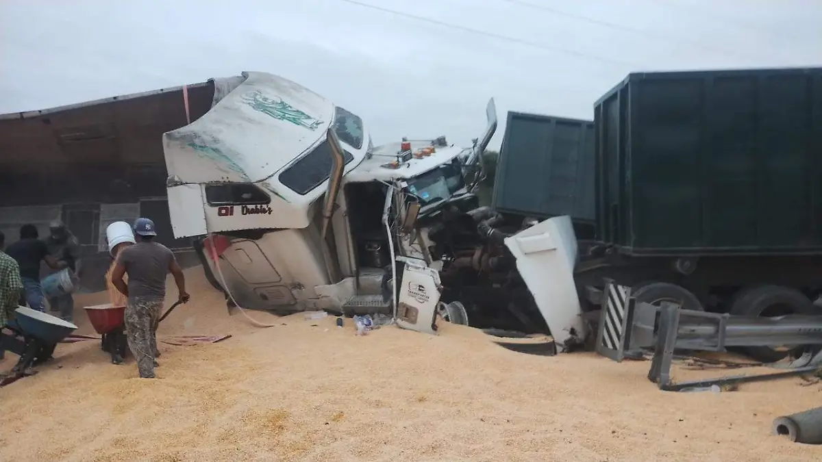 951c1396-8e51-46fb-928d-a36f77179f2c