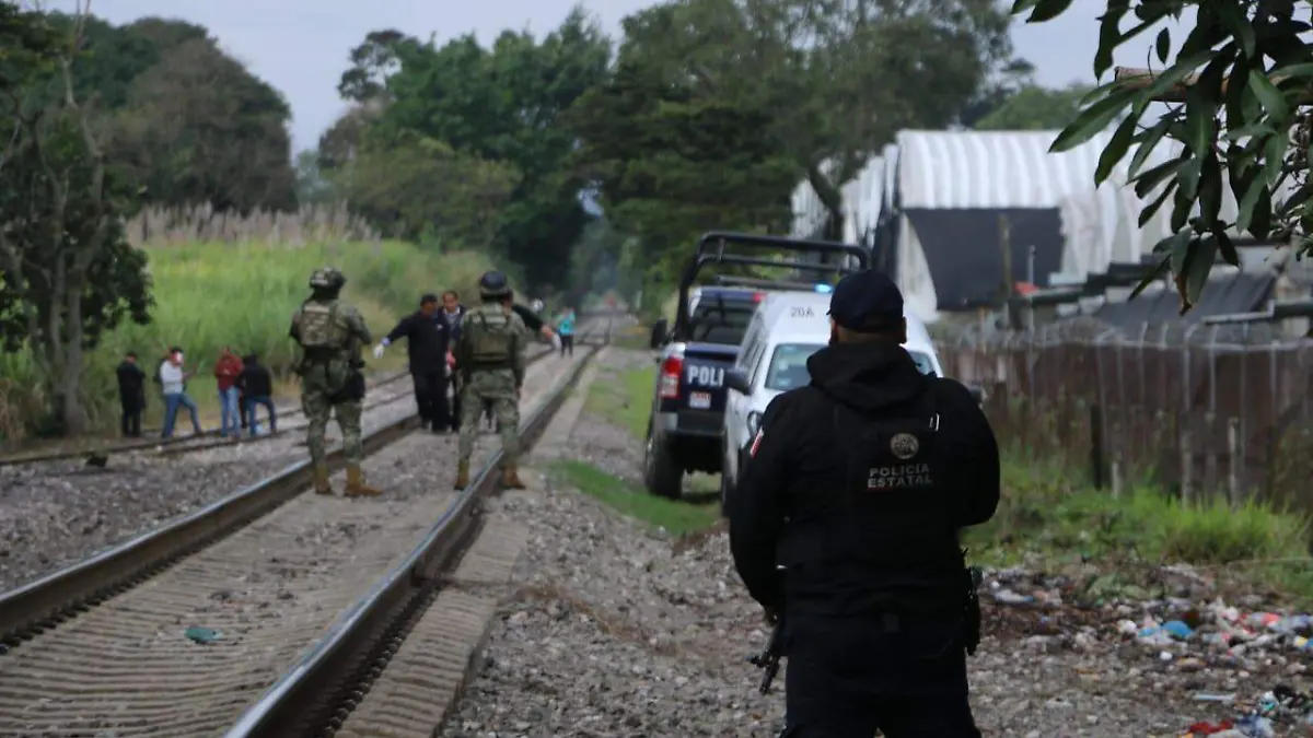 WhatsApp Image 2026-02-06 at 9.53.53 AM