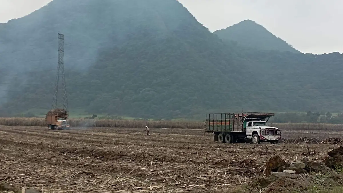 47f4befe-b13b-487f-937b-4f6d411a4f8e