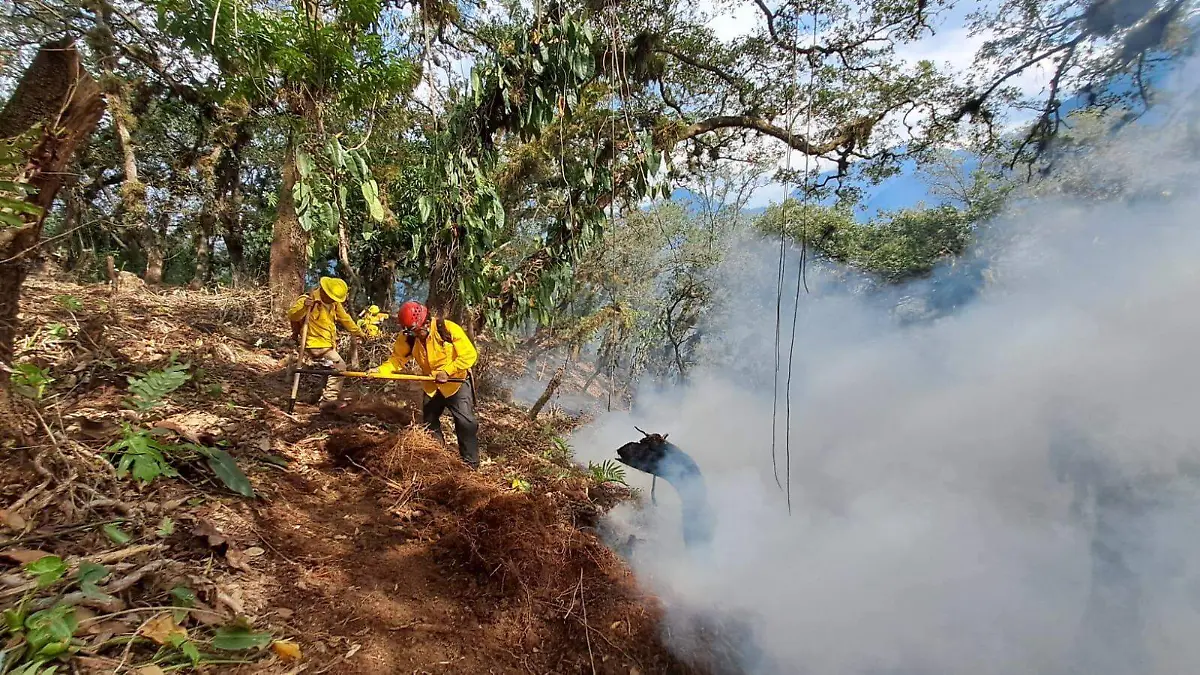 481245892_661543883074085_7546586015819087570_n