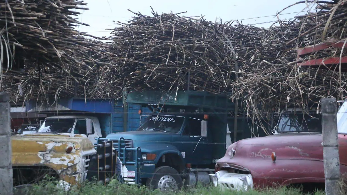 Zafra en Veracruz