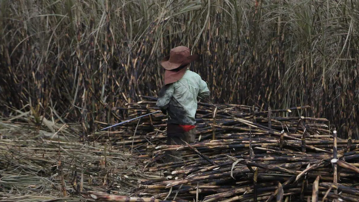 Quemas accidentadas generan pérdidas económicas, en el Ingenio El Potrero de Atoyac 