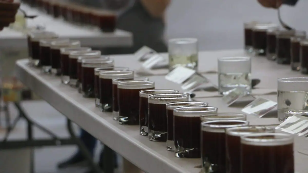 Dos cordobesas participarán en la Competencia Regional de Baristas 2026