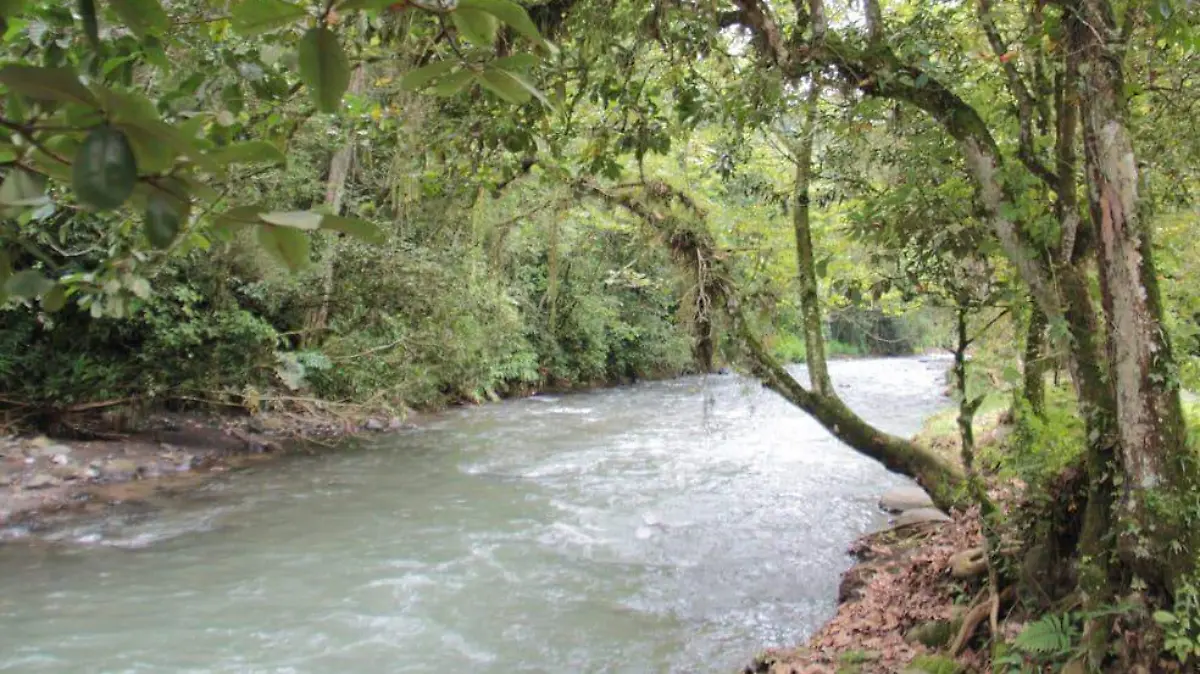 Caudal del Río Atoyac 