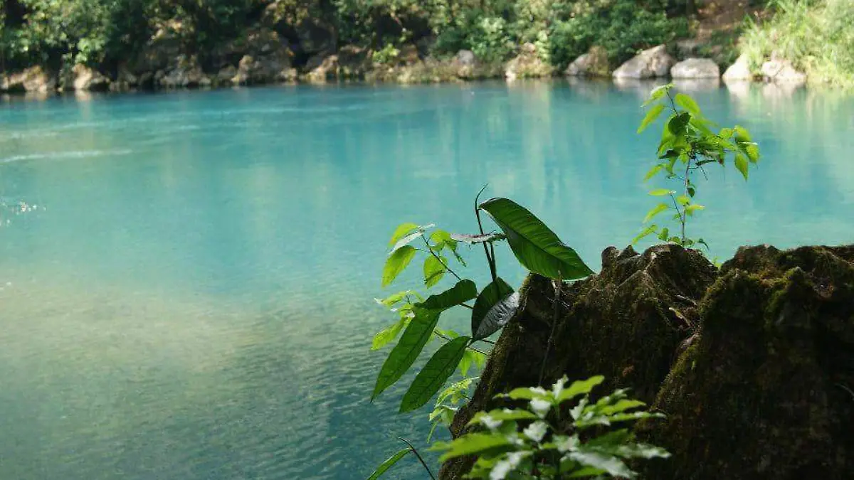 Preocupante la baja del caudal del Río Atoyac