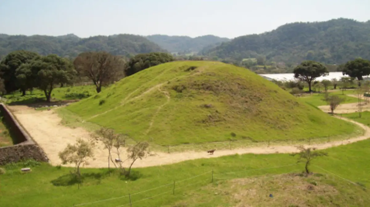 Screenshot_2026_02_11-13