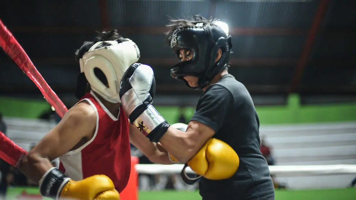 1001142_Chiapas Box Amateur_web