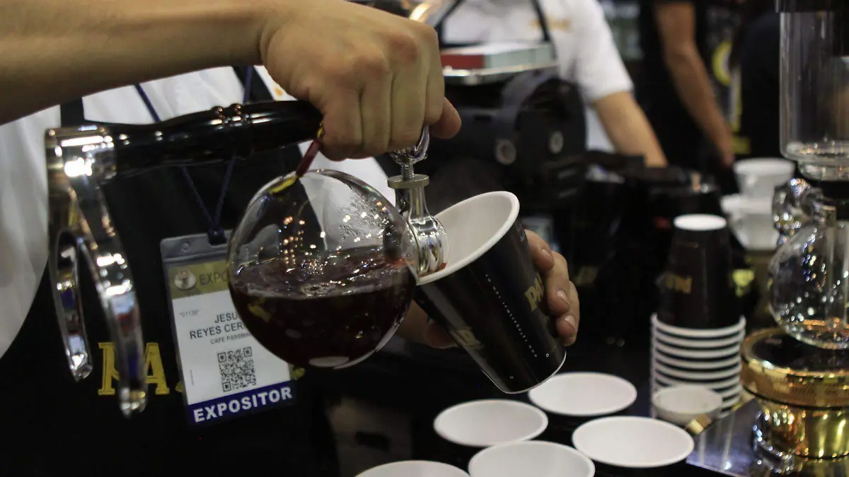 469564_Expo Cafe_web