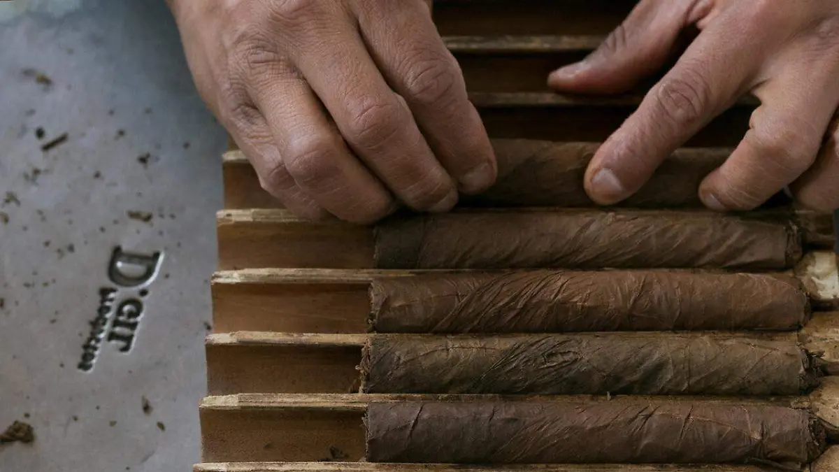 81351935_2415405935235749_1042312885415444480_n