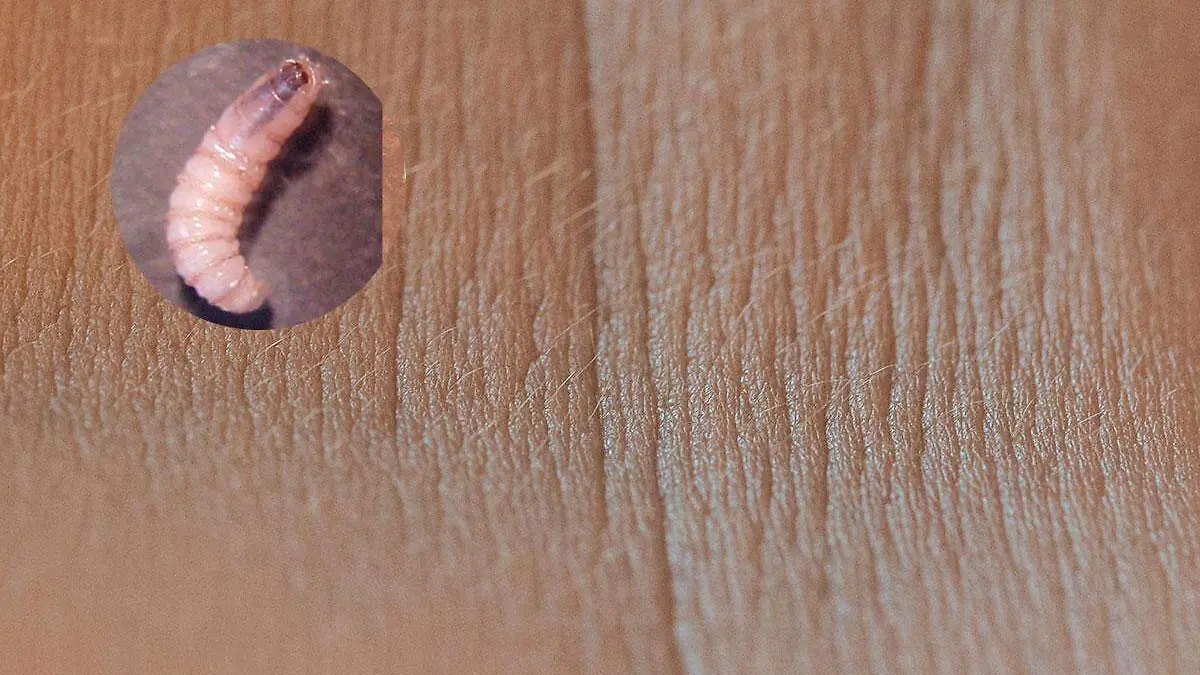 pexels-angela-roma-7479561