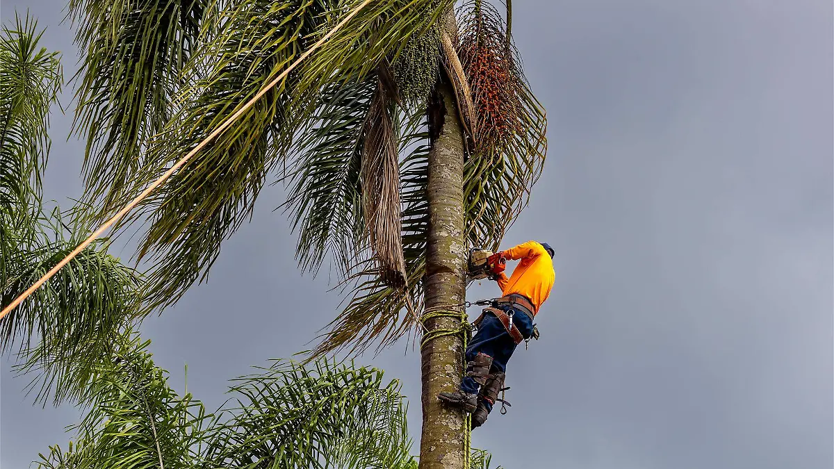 657938186_122118984705194065_18481450445763716_n