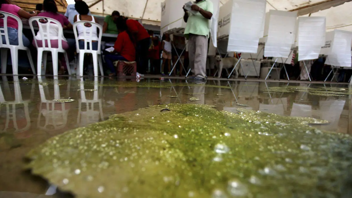 416374_elecciones_web (1)