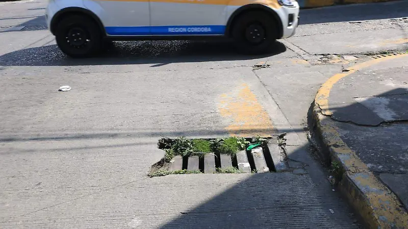 Baches calle 13 av 7 